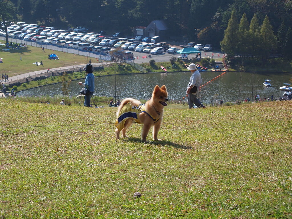 六甲山アスレチックパーク GREENIAの写真 ©Kentaro Ohno(CC BY 2.0)