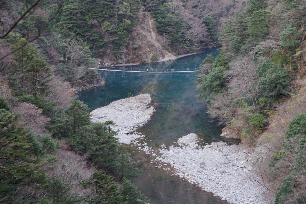夢の吊り橋の写真 