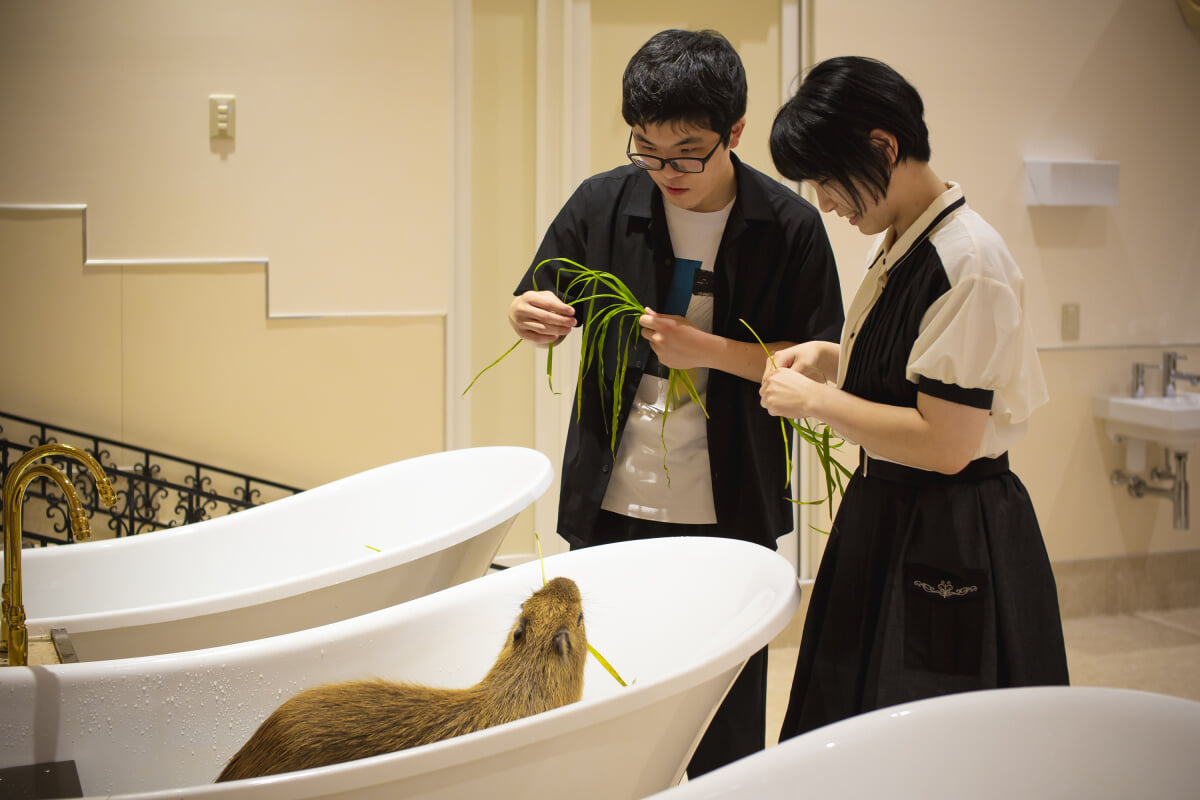 アニタッチアクアシティお台場の写真 