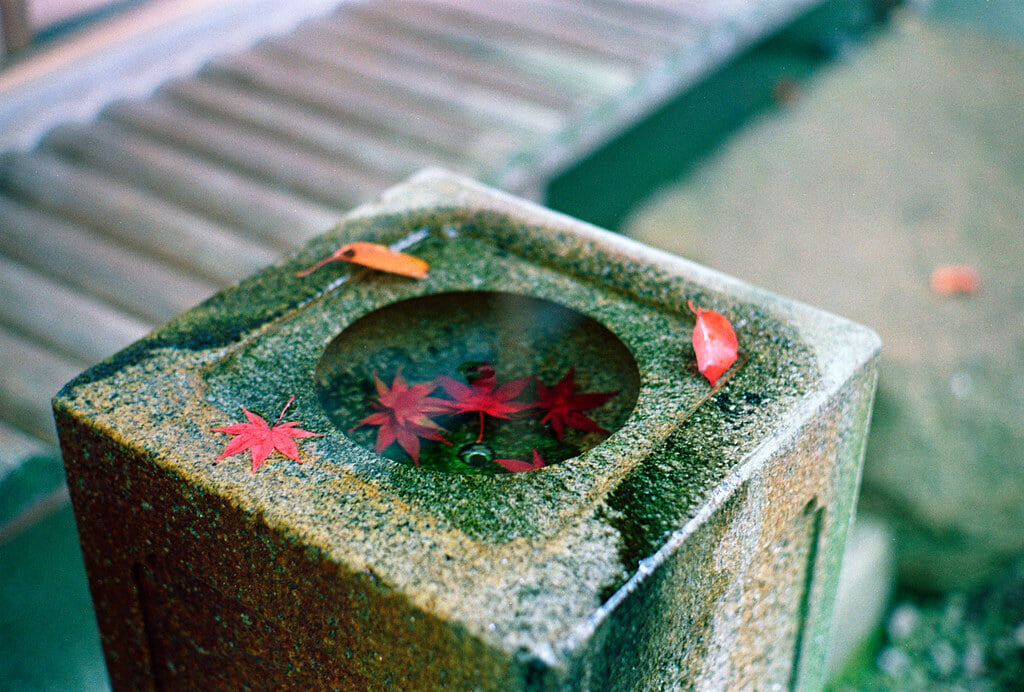 箱根美術館の写真 ©revelyrist(CC BY-SA 2.0)