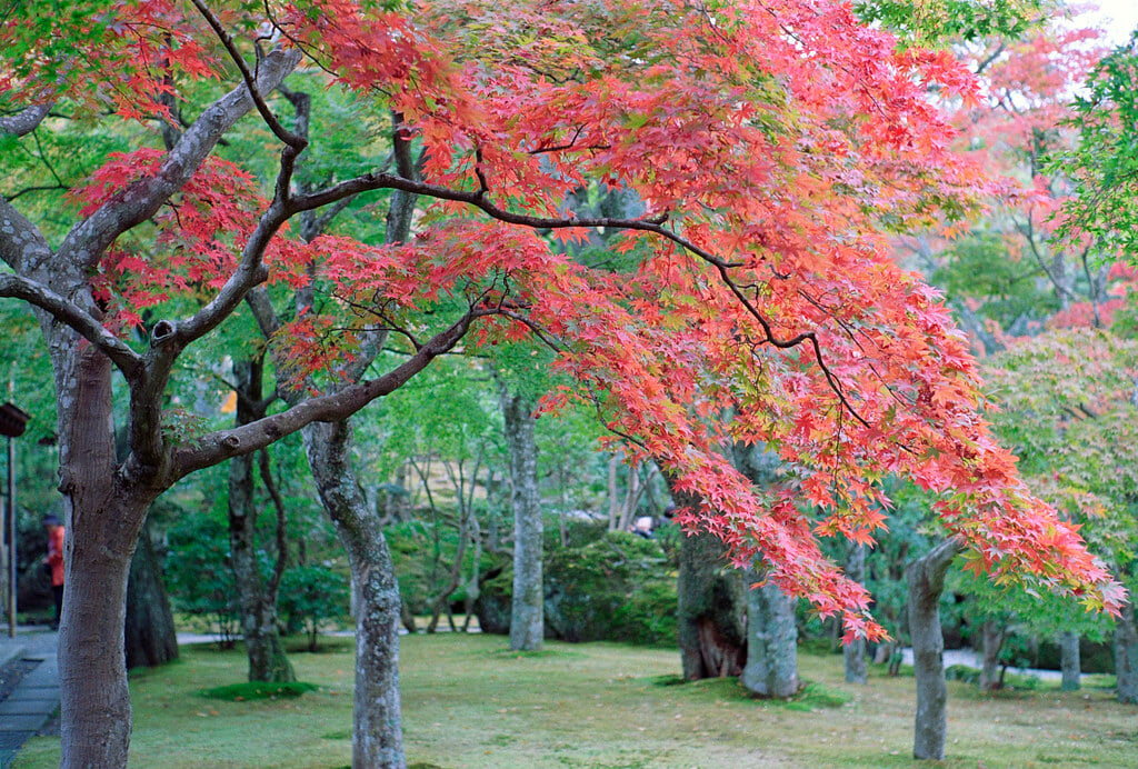箱根美術館の写真 ©revelyrist(CC BY-SA 2.0)