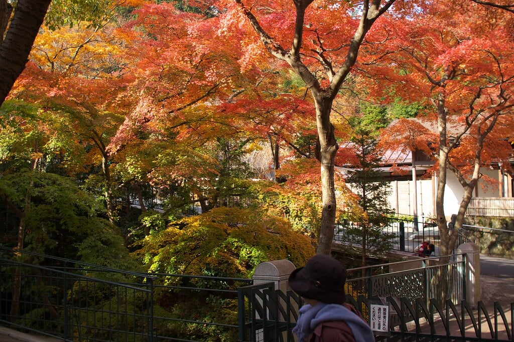 箱根美術館の写真 ©hogeasdf(CC BY 2.0)
