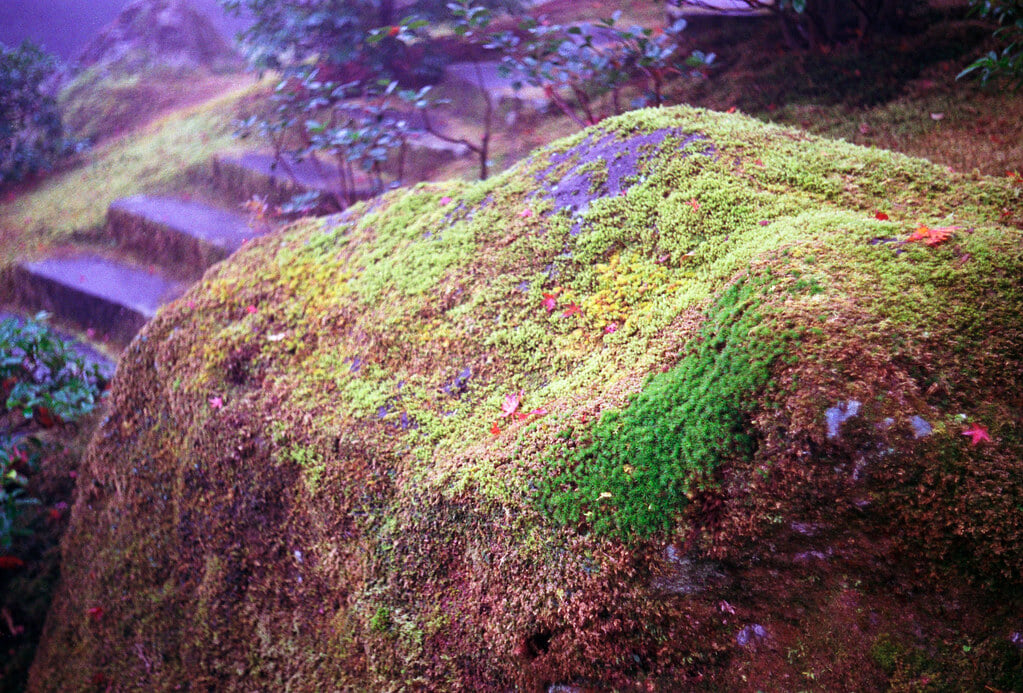 箱根美術館の写真 ©revelyrist(CC BY-SA 2.0)