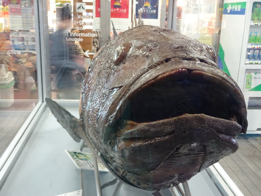 輪島マリンタウン・海の駅 六銘館の写真 ©inazakira(CC BY-SA 2.0)
