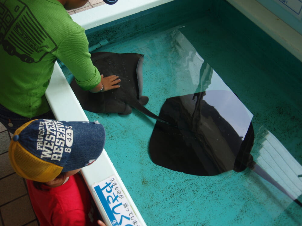 越前松島水族館の写真 ©Tomomori(CC BY-SA 3.0)