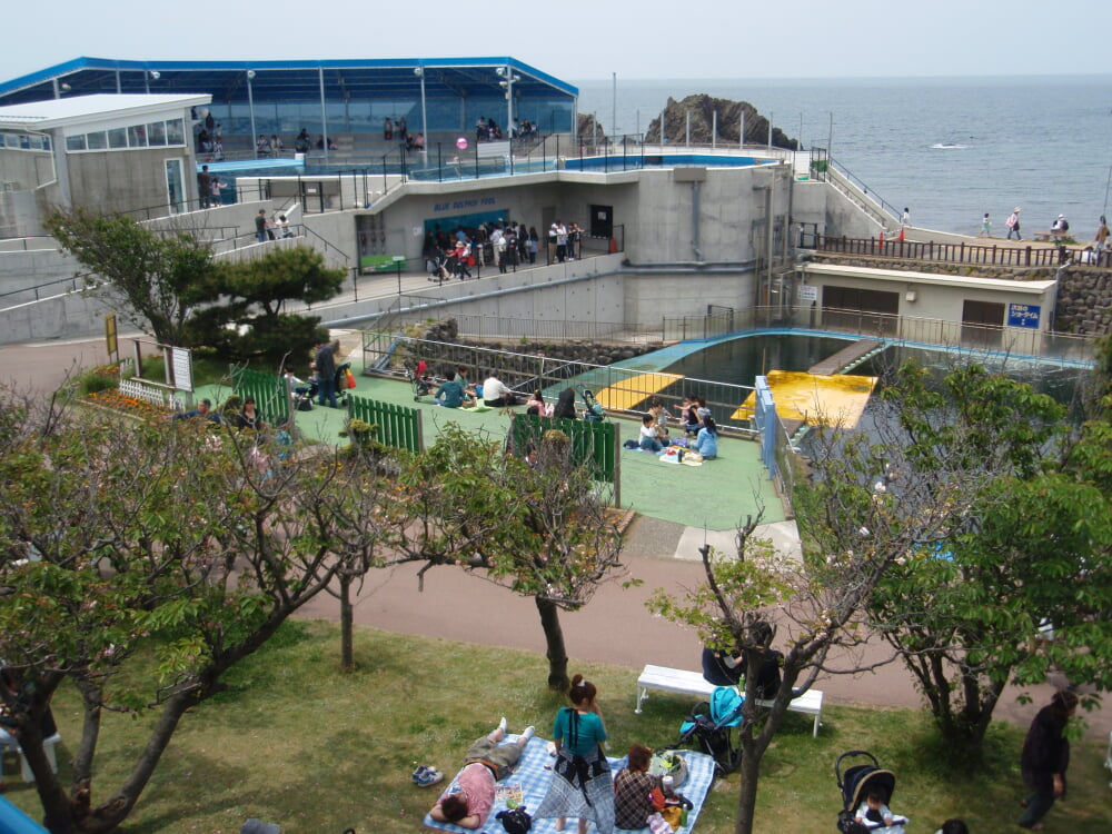 越前松島水族館の写真 ©Tomomori(CC BY-SA 3.0)