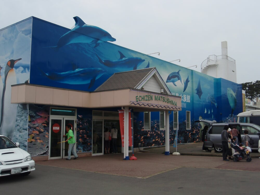 越前松島水族館の写真 ©Tomomori(CC BY-SA 3.0)