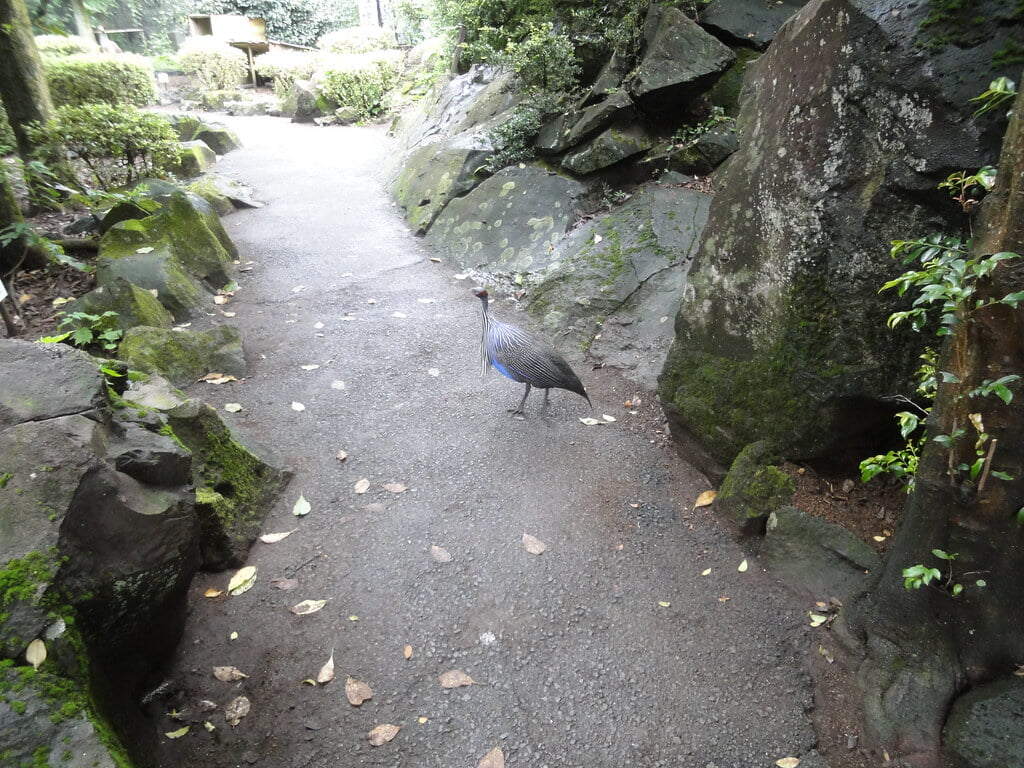 伊豆シャボテン動物公園の写真 ©inunami(CC BY 2.0)