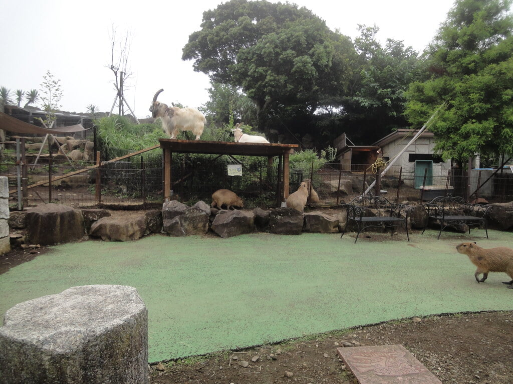 伊豆シャボテン動物公園の写真 ©inunami(CC BY 2.0)
