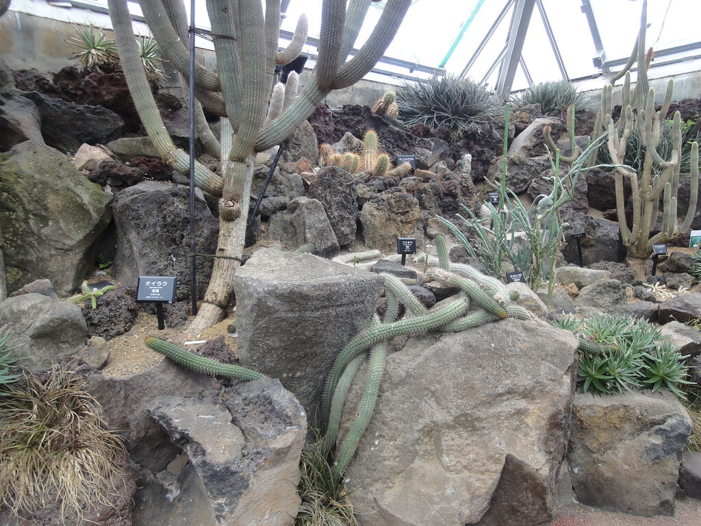伊豆シャボテン動物公園の写真 ©inunami(CC BY 2.0)