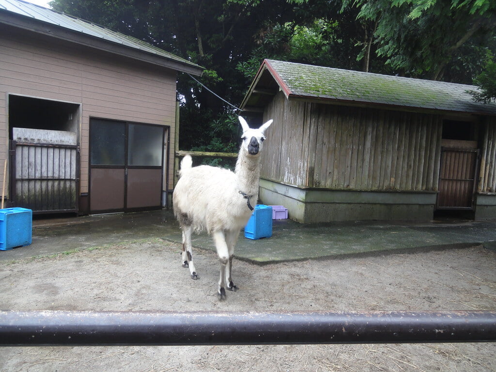 伊豆シャボテン動物公園の写真 ©inunami(CC BY 2.0)