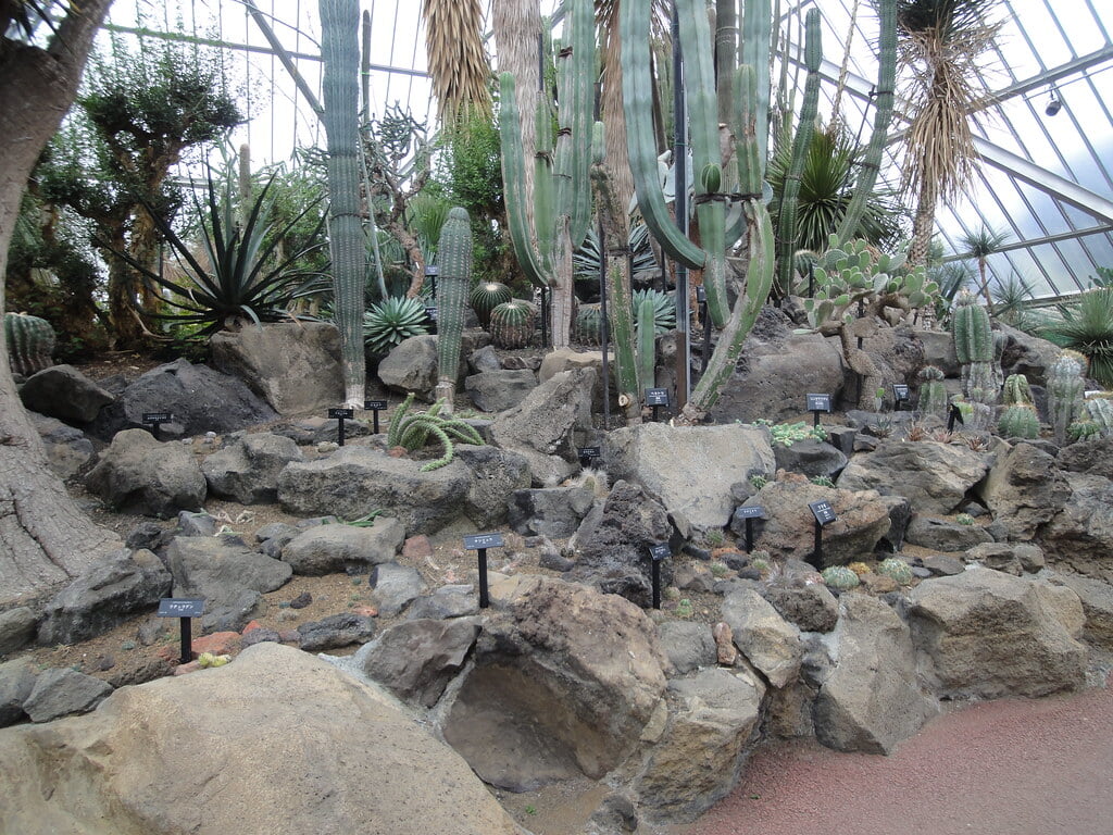 伊豆シャボテン動物公園の写真 ©inunami(CC BY 2.0)