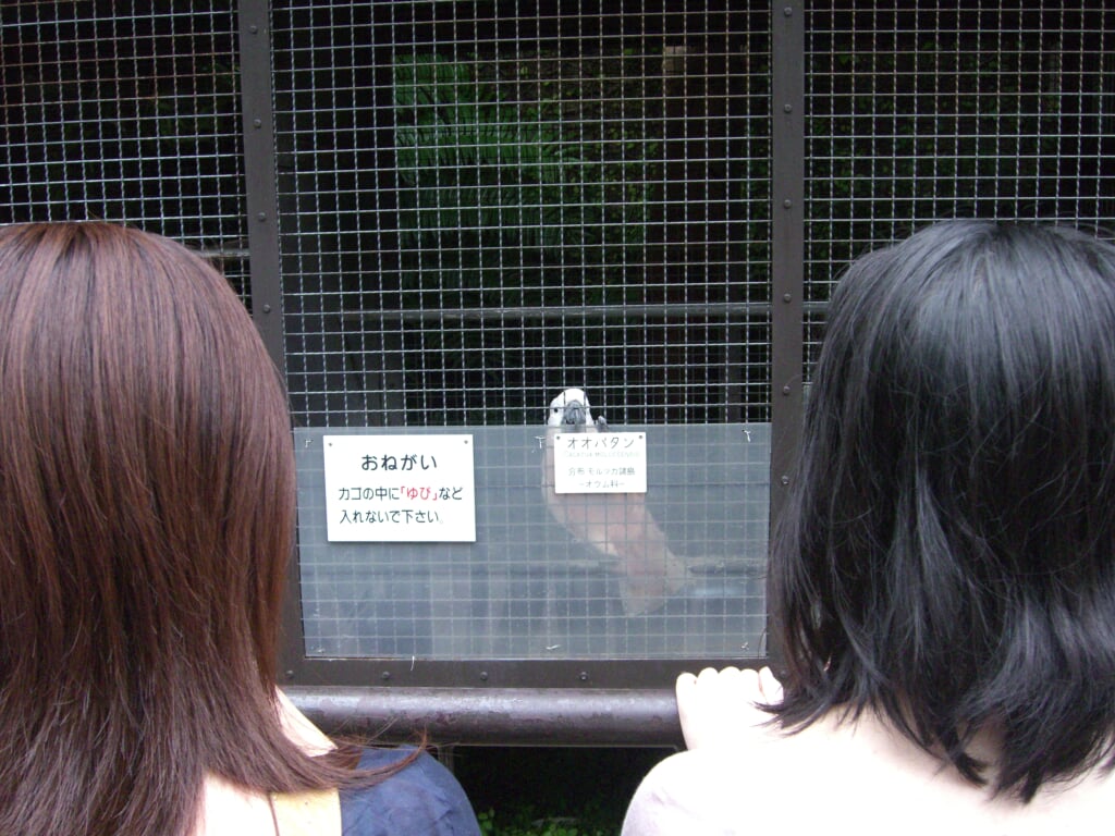 熱川バナナワニ園の写真 ©Kiyonobu Ito(CC BY 2.0)