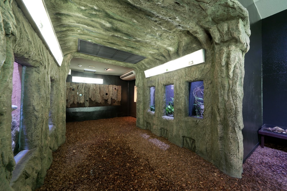 体感型動物園iZooの写真 ©Izoo-izoo4321(CC BY-SA 3.0)