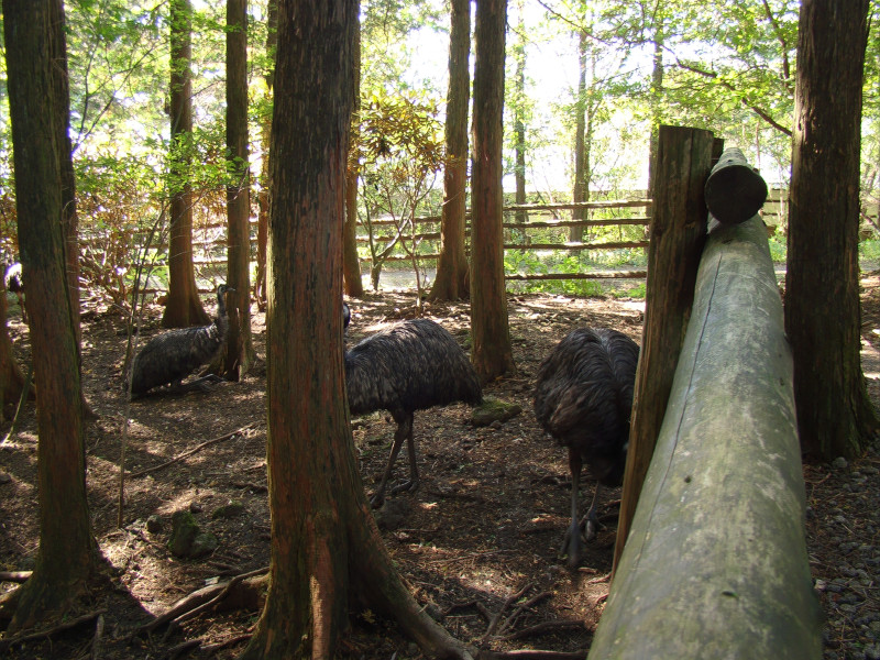 富士花鳥園の写真 ©しんかわな(CC BY-SA 3.0)