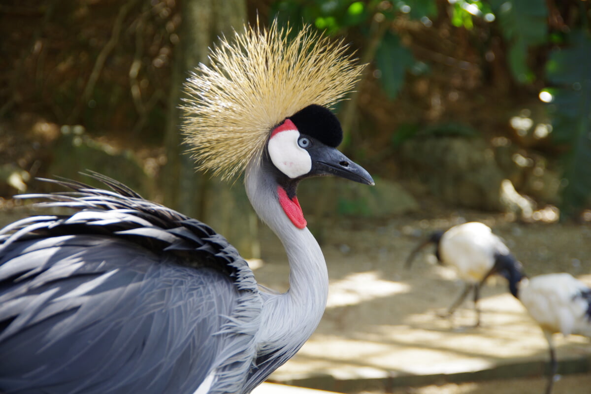 ネオパークオキナワの写真 ©pelican from Tokyo, Japan(CC BY-SA 2.0)