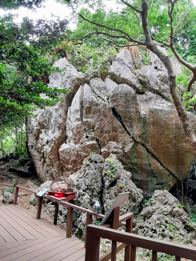 大石林山の写真 