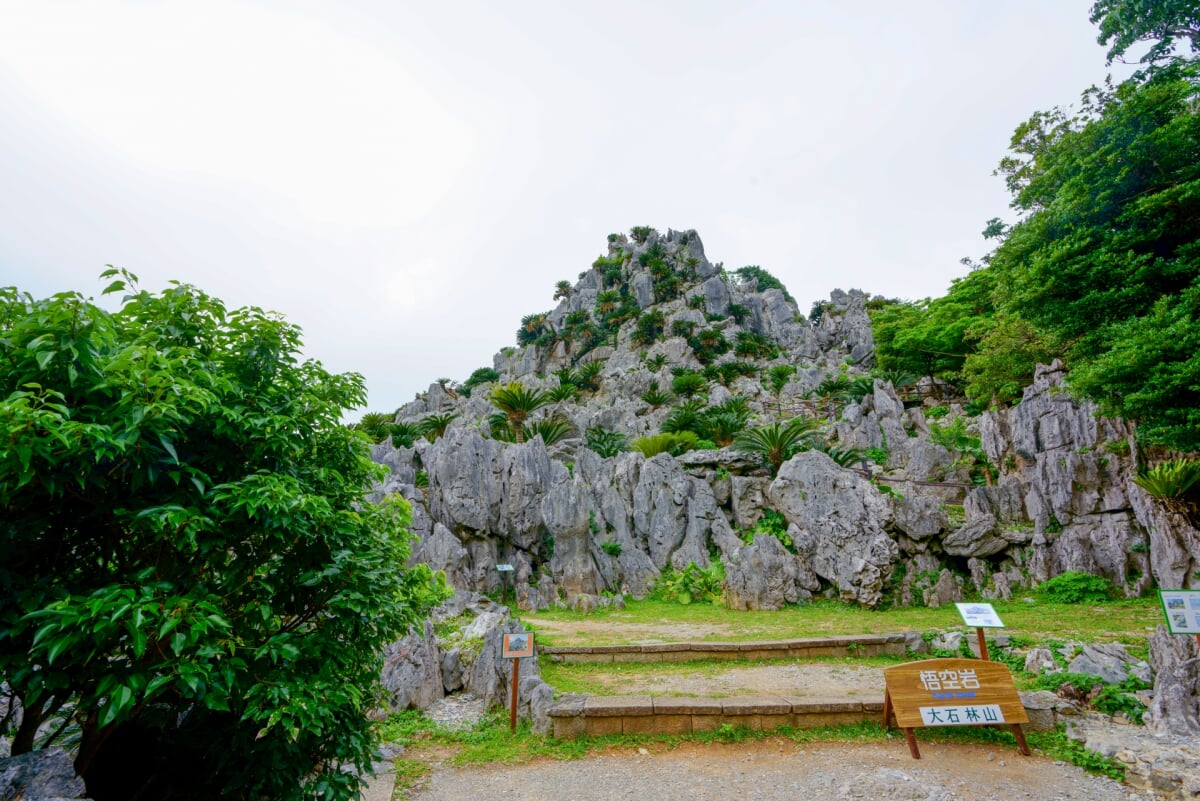 大石林山の写真 