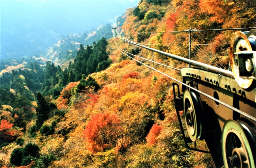 身延山ロープウェイの写真 出典:身延登山鉄道株式会社