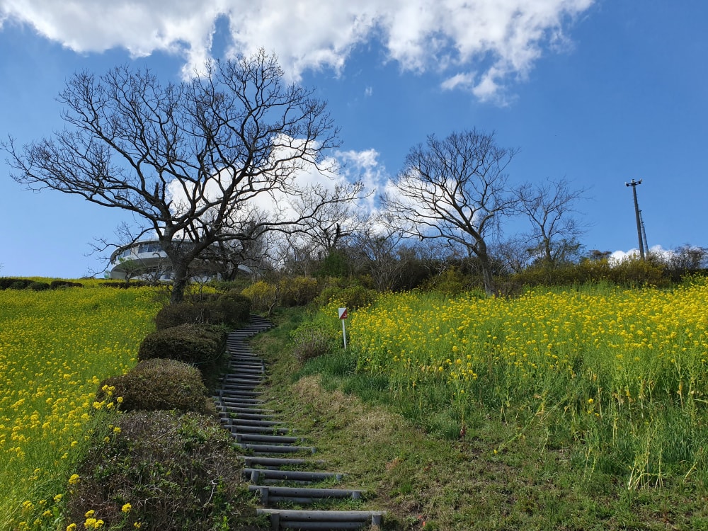 マザー牧場の写真 ©Syced(CC0)
