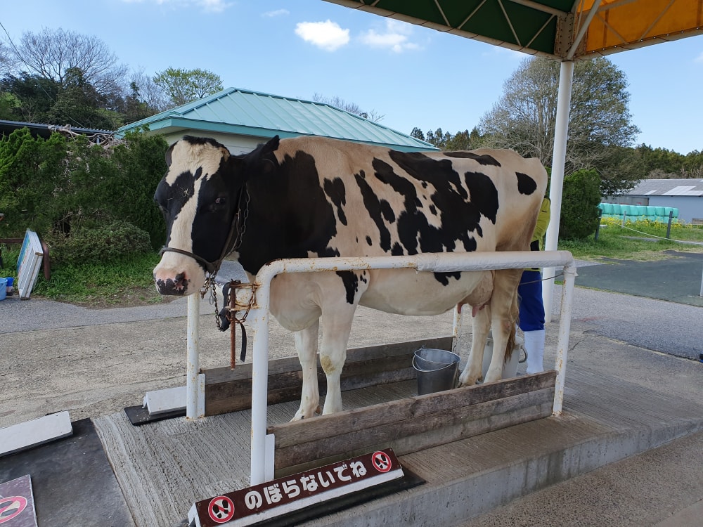 マザー牧場の写真 ©Syced(CC0)
