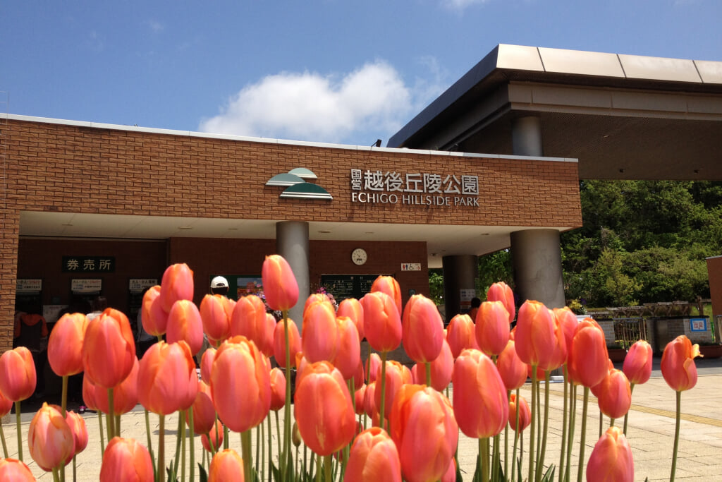 国営越後丘陵公園の写真 ©uka0310(CC BY 2.0)