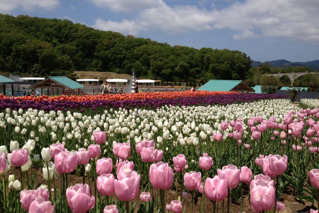 国営越後丘陵公園の写真 ©uka0310(CC BY 2.0)