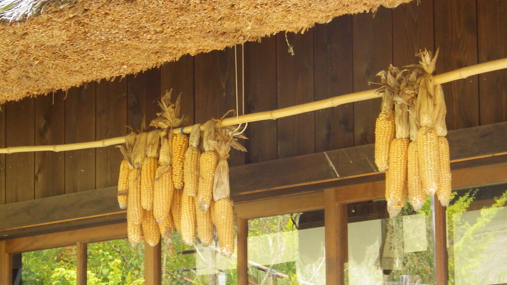 西湖いやしの里根場の写真 ©ururun4412(CC BY-SA 2.0)