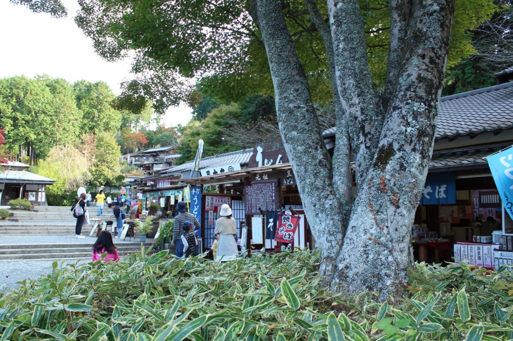 修善寺虹の郷の写真 ©Batholith(Public domain)
