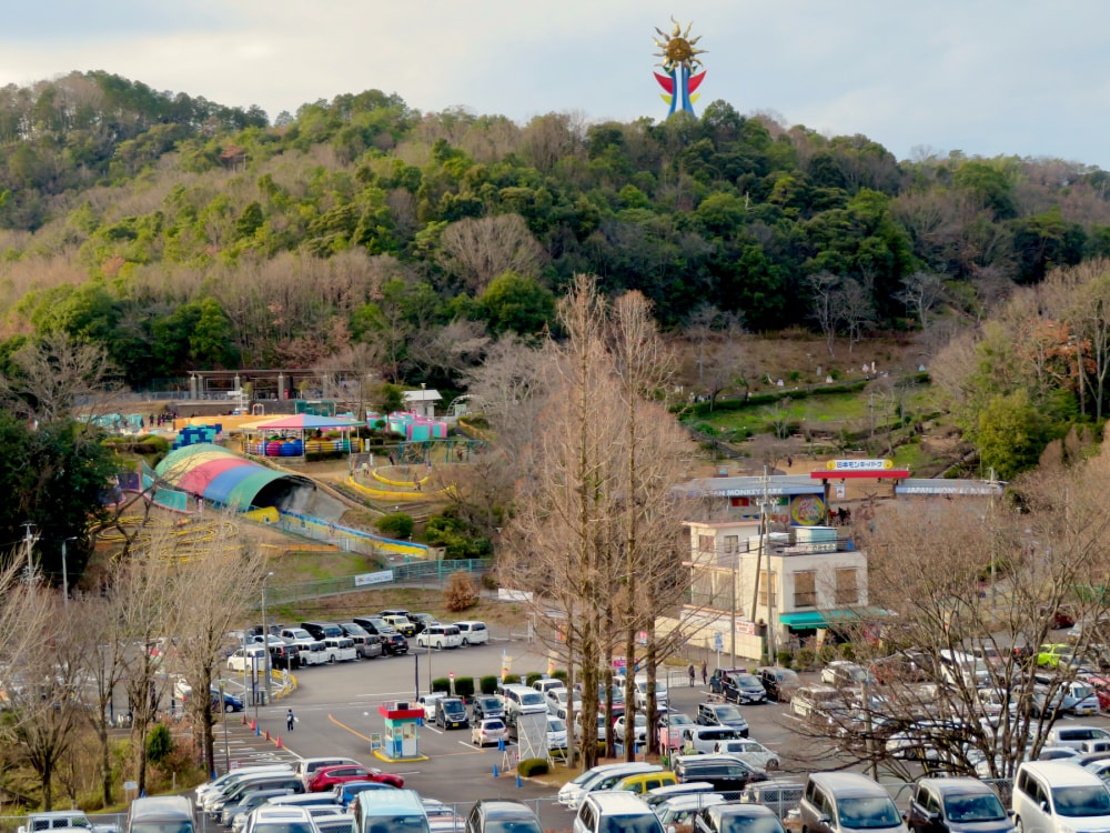 日本モンキーパークの写真 ©KKPCW(CC BY-SA 4.0)