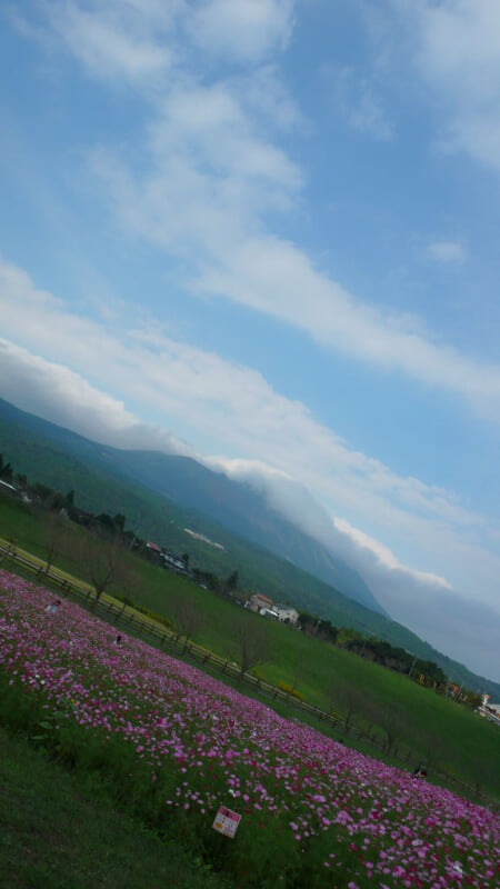 高千穂牧場の写真 ©hermitage#605(CC BY 2.0)