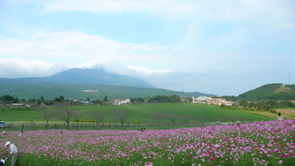 高千穂牧場の写真 ©hermitage#605(CC BY 2.0)
