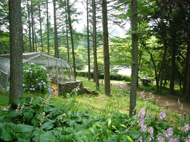 六甲高山植物園の写真 ©663highland(CC-BY-SA-3.0)
