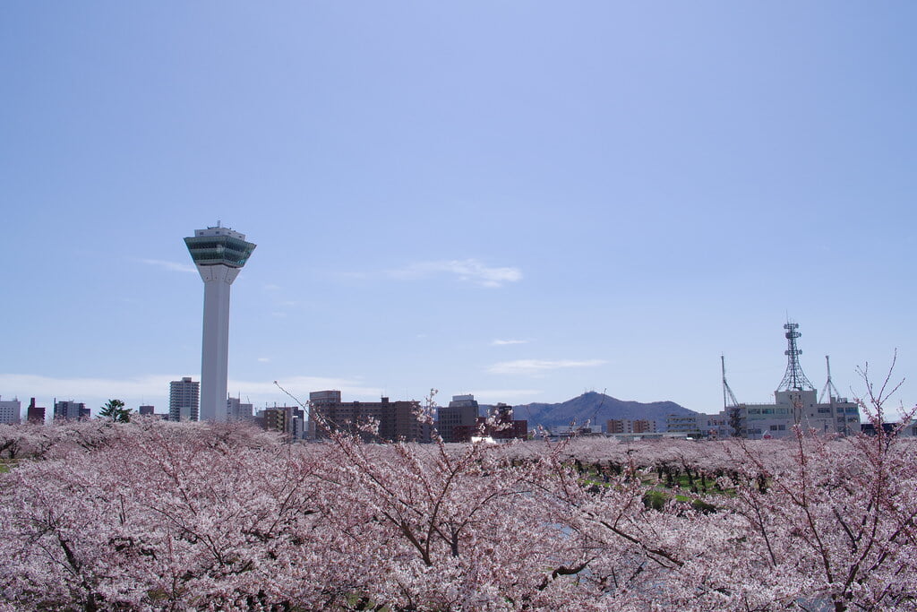 五稜郭タワーの写真 ©fukapon(CC BY 2.0)