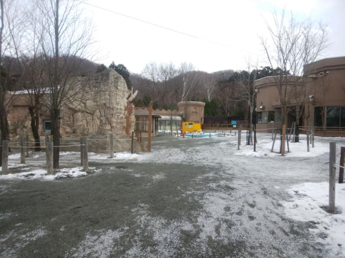 札幌市円山動物園の写真 