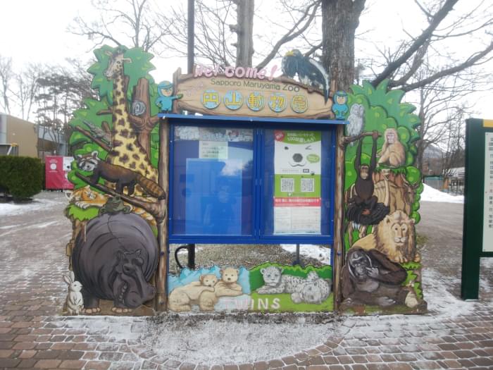 札幌市円山動物園の写真 
