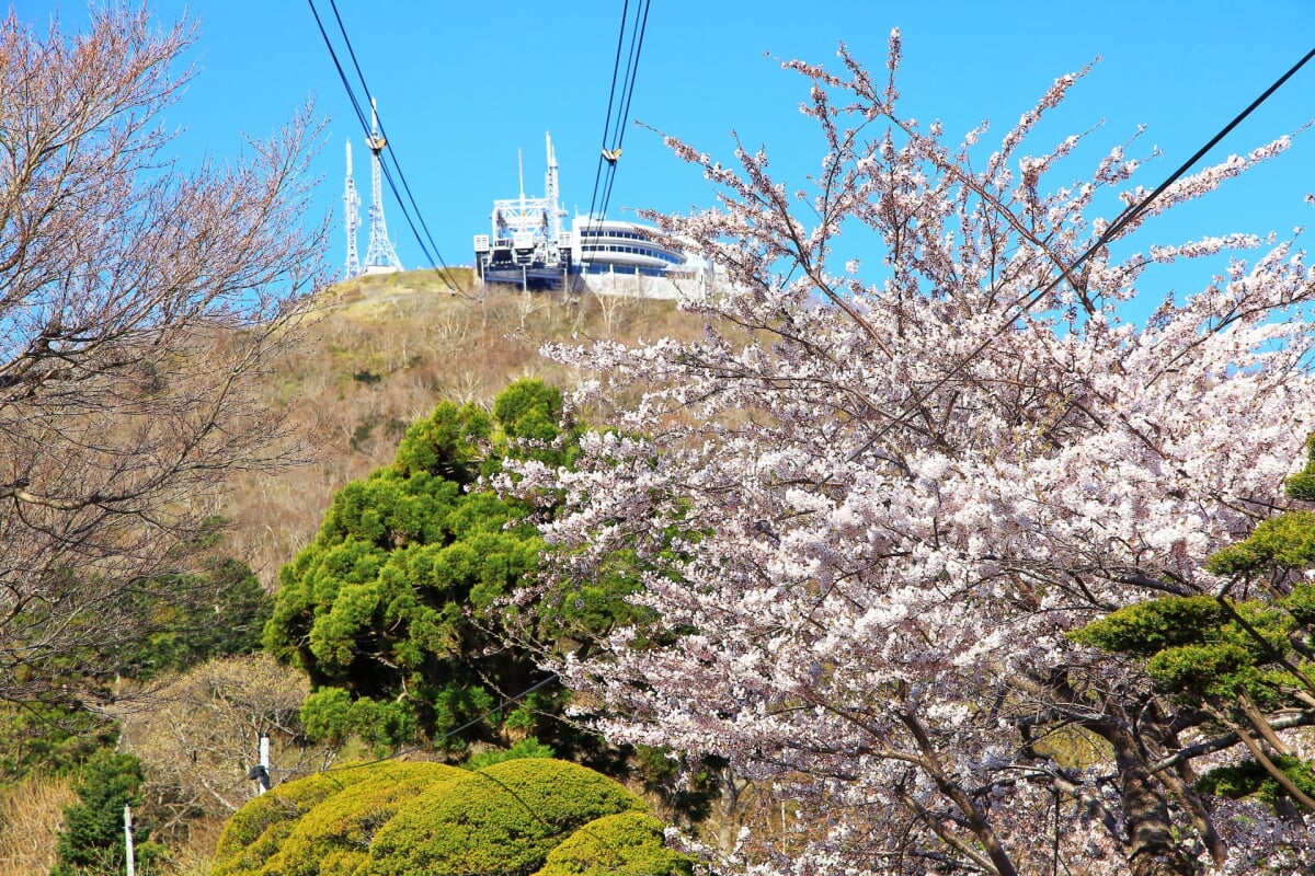 函館山ロープウェイの写真 