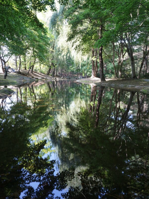 真鍋庭園の写真 ©T.Kiya(CC BY-SA 2.0)