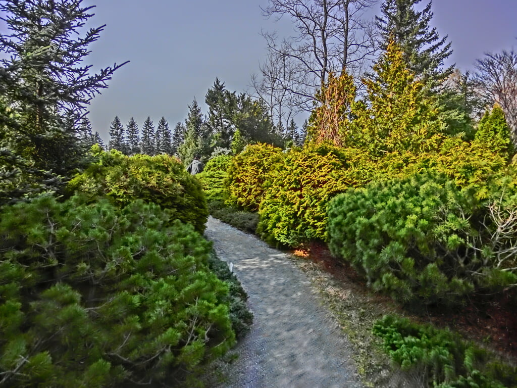 真鍋庭園の写真 ©メルビル(CC BY-SA 4.0)