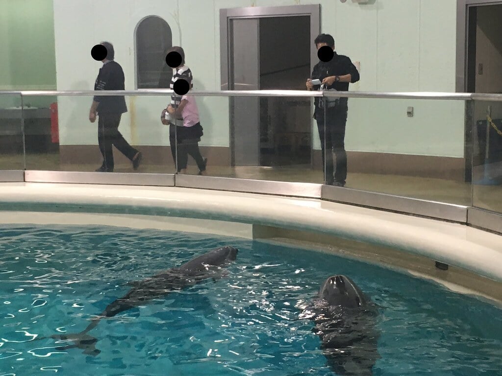 青森県営 浅虫水族館の写真 ©__U___(CC BY 2.0)