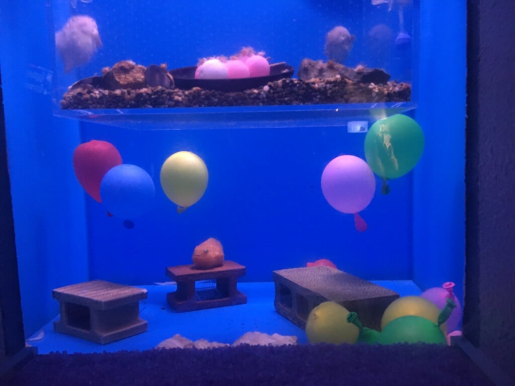 青森県営 浅虫水族館の写真 ©__U___(CC BY 2.0)