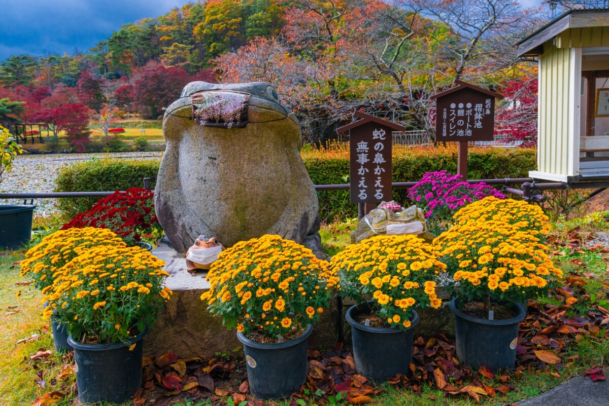 花と歴史の郷 蛇の鼻の写真 