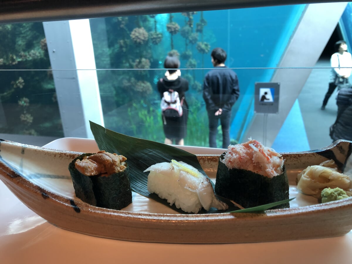 アクアマリンふくしま(ふくしま海洋科学館)の写真 ©Totti(CC BY-SA 4.0)