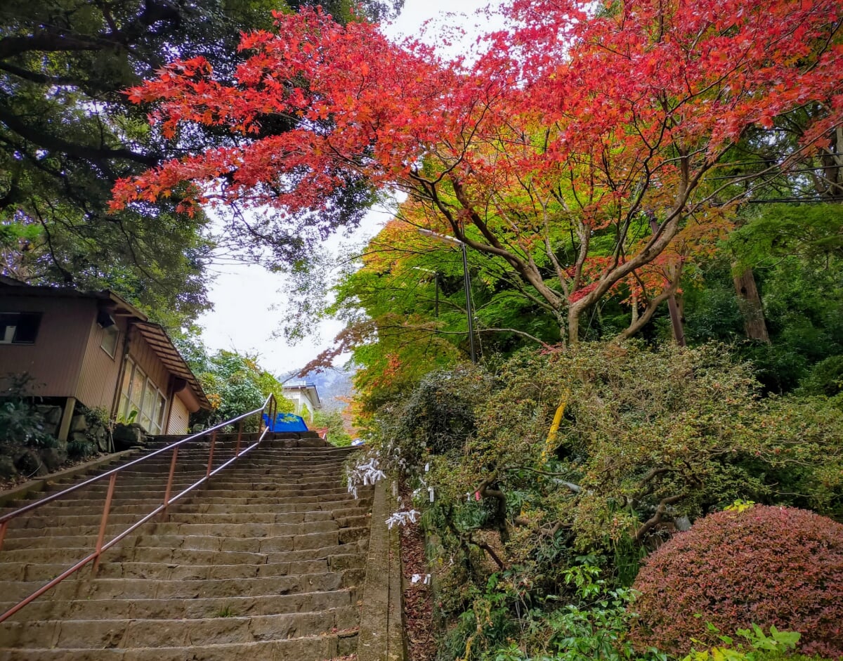 筑波山ケーブルカー・ロープウェイの写真 