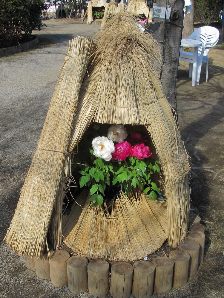 あしかがフラワーパークの写真 ©京浜にけ(CC BY-SA 3.0)