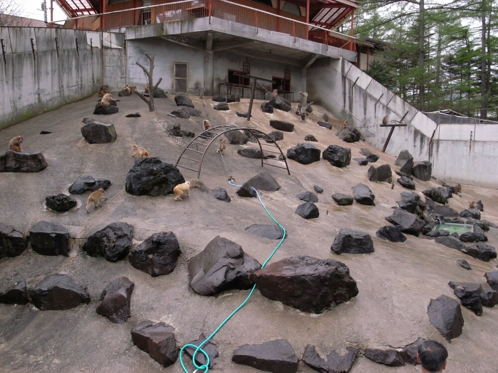 草津熱帯圏の写真 ©bizmac(CC BY 2.0)