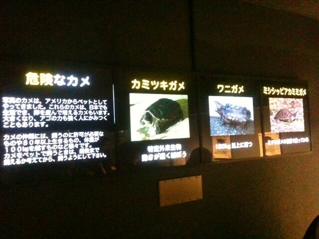 さいたま水族館の写真 ©Norisa1(CC BY 2.0)