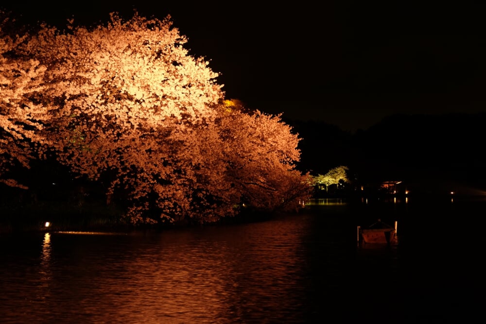 三溪園の写真 