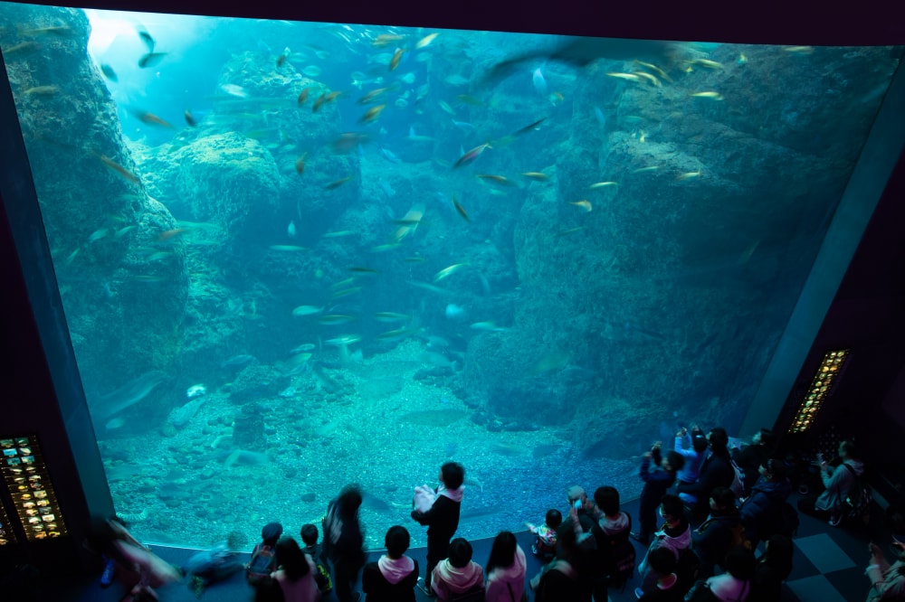 新江ノ島水族館の写真 ©Σ64(CC BY 4.0)