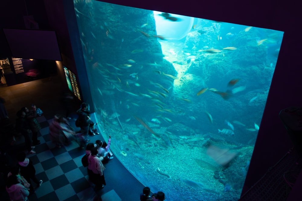 新江ノ島水族館の写真 ©Σ64(CC BY 4.0)